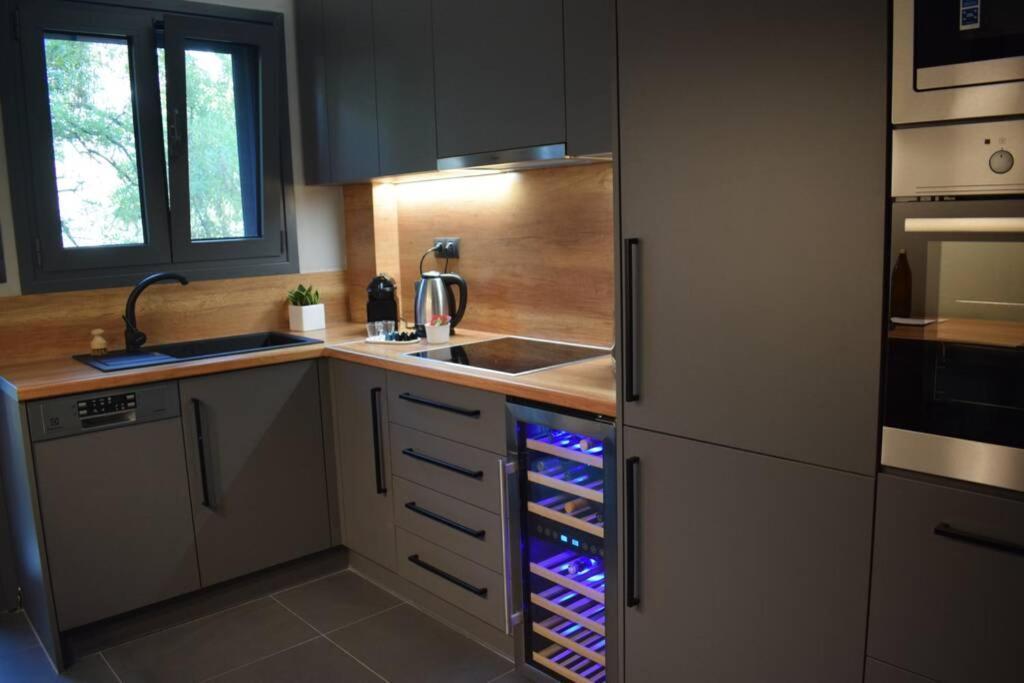 Ockto Luxurious Business Travel Apartment Αθήνα Εξωτερικό φωτογραφία